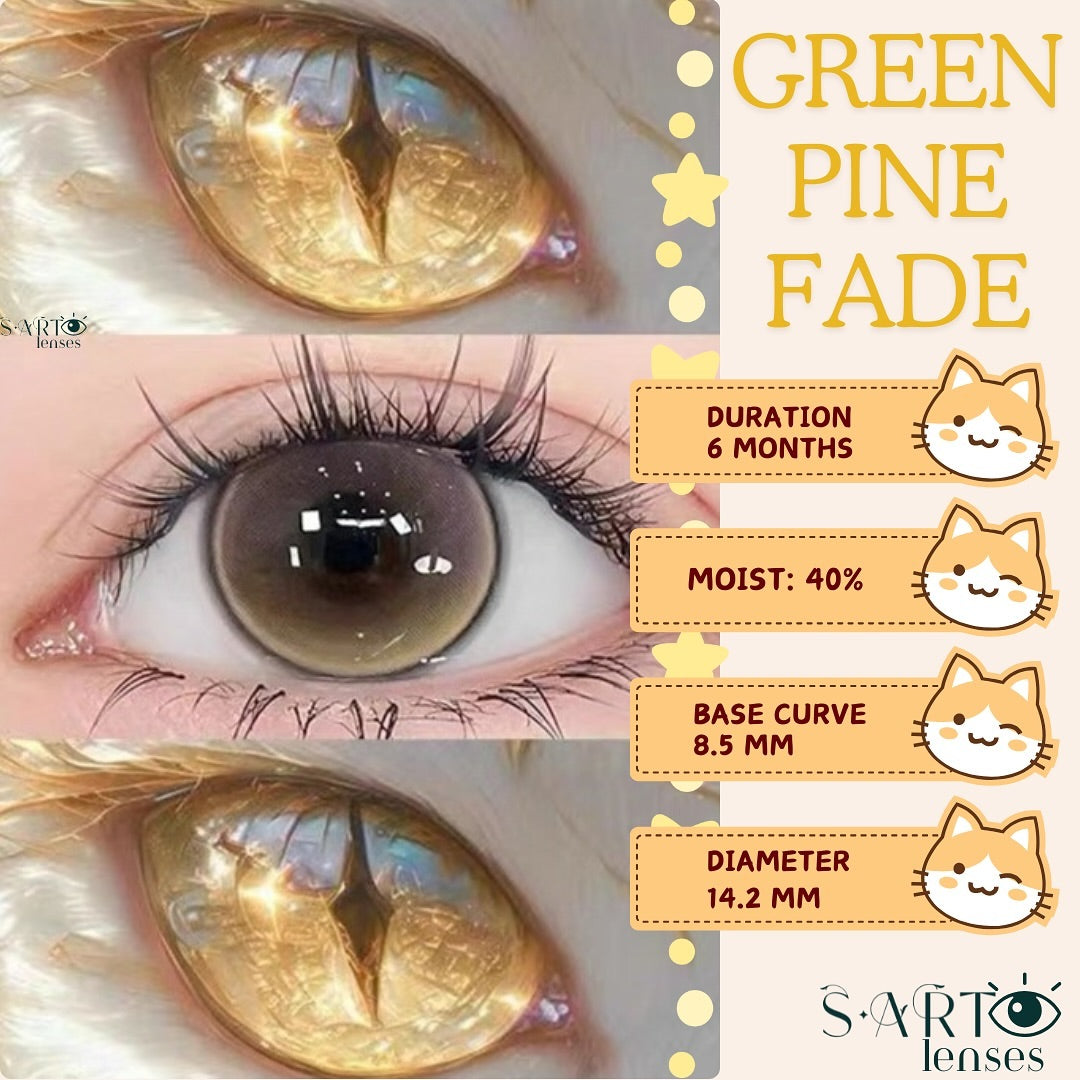 Green Pine Fade 6-month Disposal Contact Lens